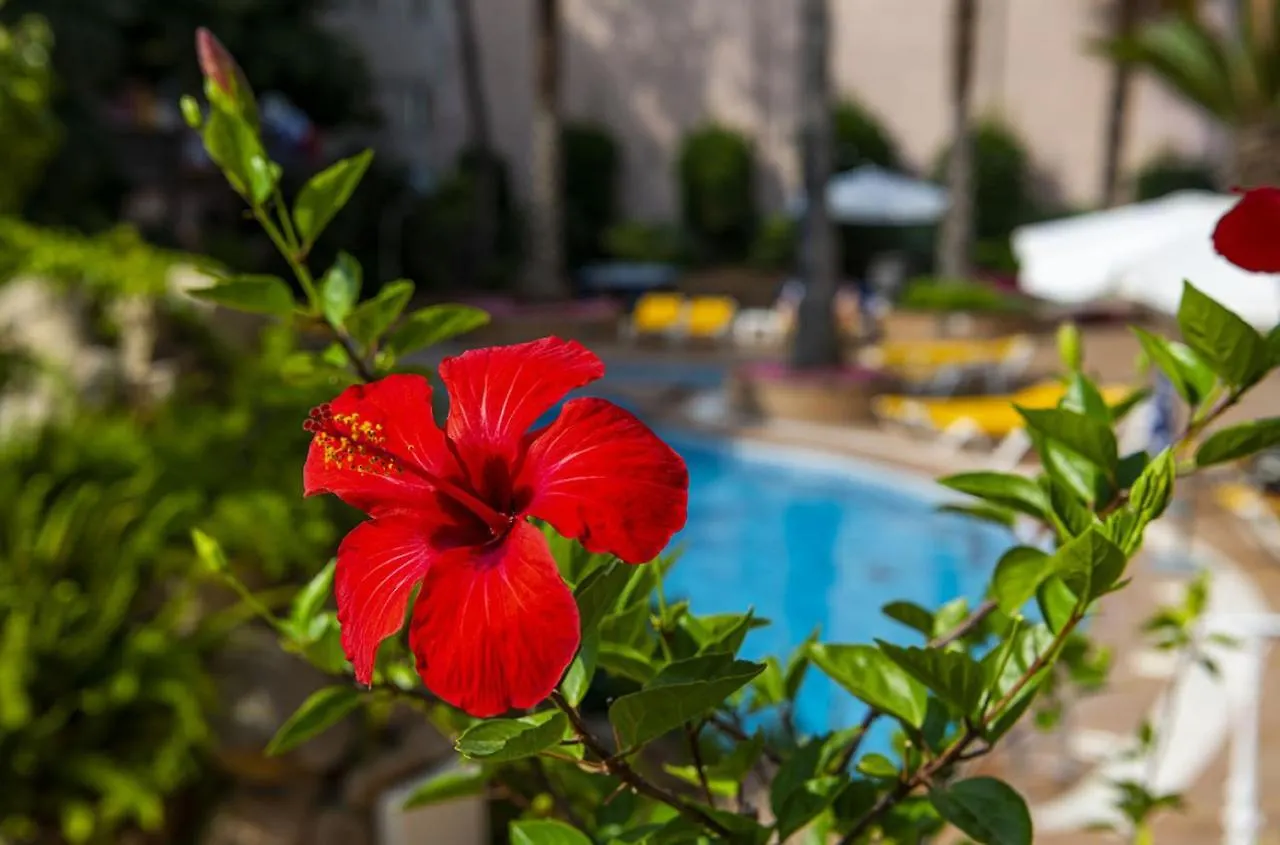 Hotel Guitart Rosa - Adults Only Lloret de Mar